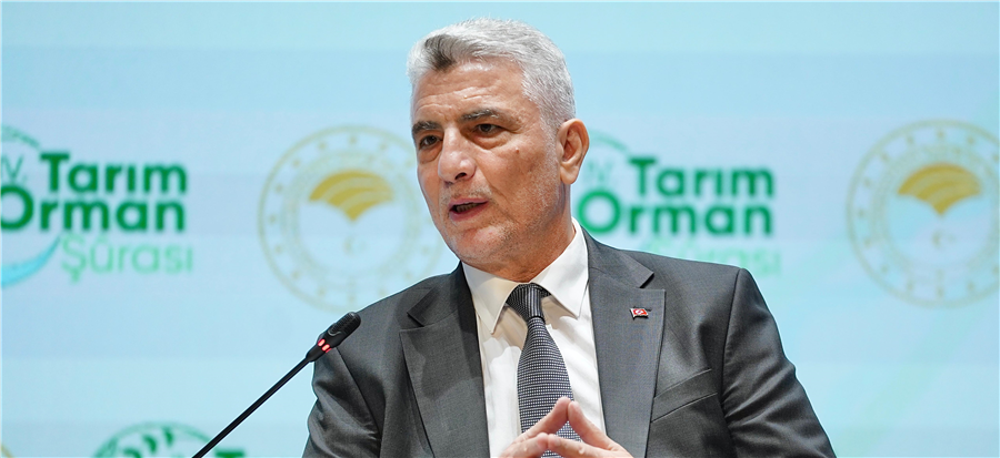 Ekonomi / İş Dünyası