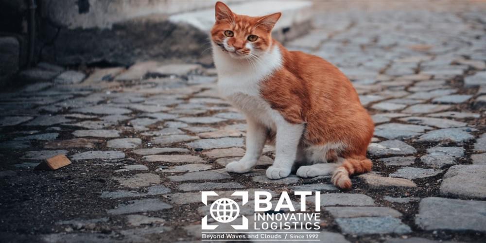 BATI INNOVATIVE LOGISTICS, SEVİMLİ DOSTLARI UNUTMUYOR