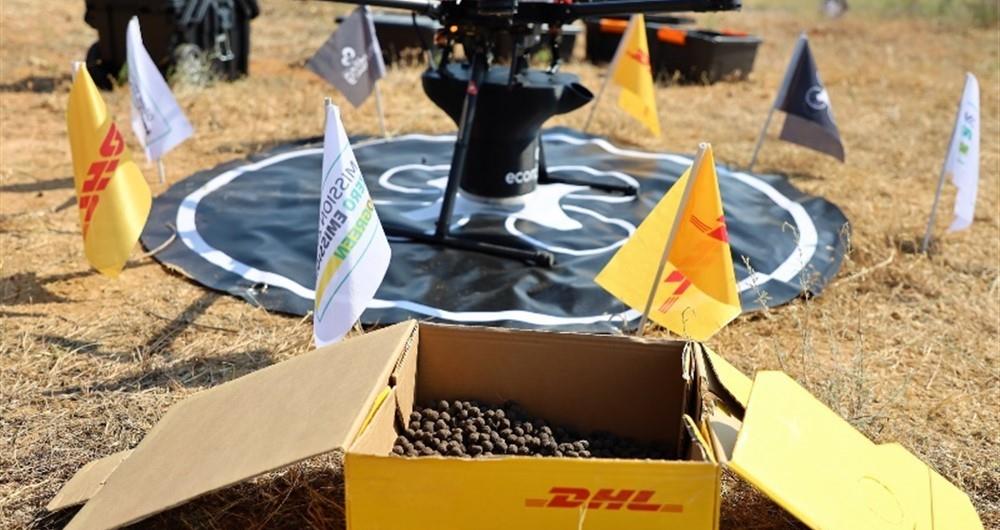 DHL ORMANI DRONELARLA VE YENİ TOHUMLARLA BÜYÜYOR