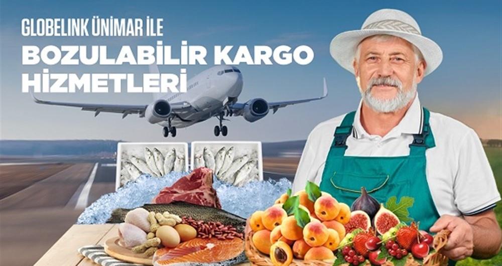 GLOBELİNK ÜNİMAR'DAN BOZULABİLİR KARGOLARA GÜVENLİK GARANTİSİ