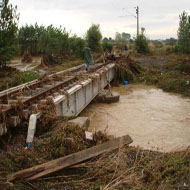 SELİN VURDUĞU İHRAÇ MALINA 3 AY EK SÜRE